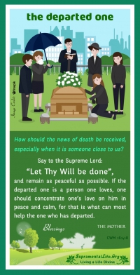 Departed News.jpg